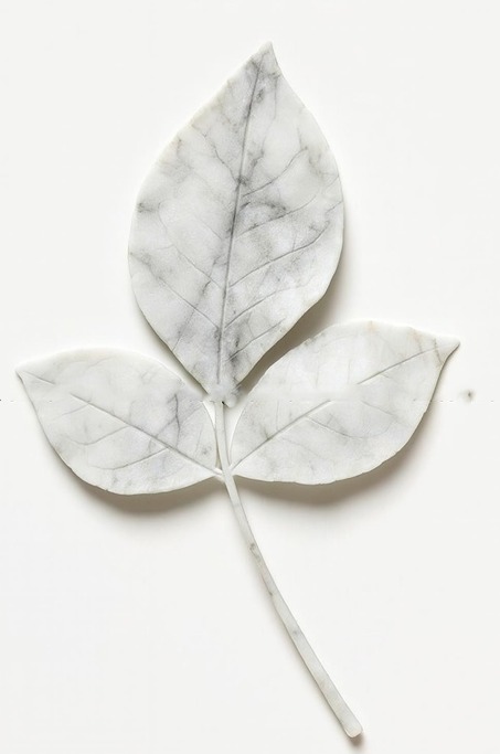 3D Carved Leaf Wall Mural